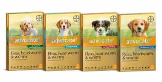 Advantage Multi® - Advocate for Dogs