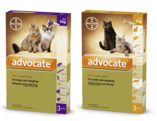 Advocate for Cats: Comprehensive Parasite Protection and Prevention