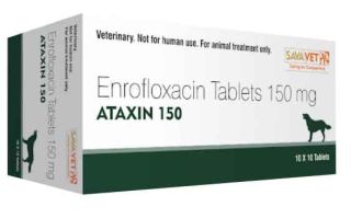 Baytril Ataxin Chewable (Enrofloxain)