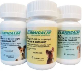 Clomicalm (Clomipramine Hydrochloride) - Behavior Treatment for Dogs