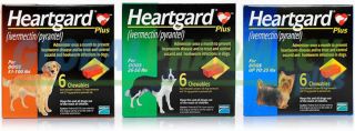 Heartgard Plus® (StrongHeart Plus / Heartz) for Dogs