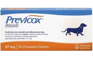 Previcox for Dogs - Pain and Inflammation Relief for Osteoarthritis and Surgery
