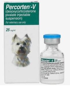 Percorten V for Dogs, 25 mg/ml 4ml Vial